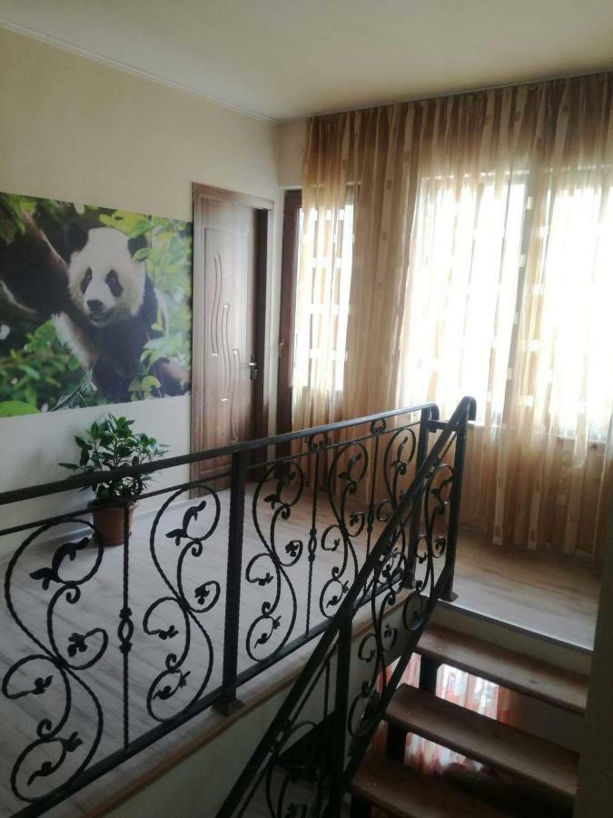 Hotel Happy Pandasn12 Bordžomi Exteriér fotografie