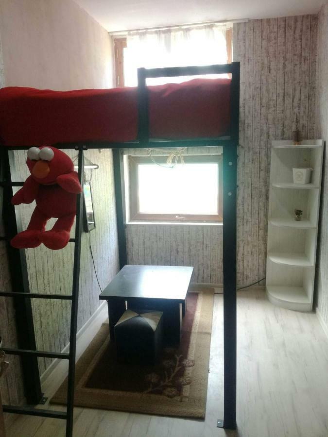 Hotel Happy Pandasn12 Bordžomi Exteriér fotografie